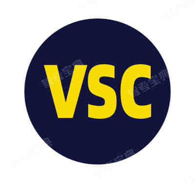 VSC指示燈